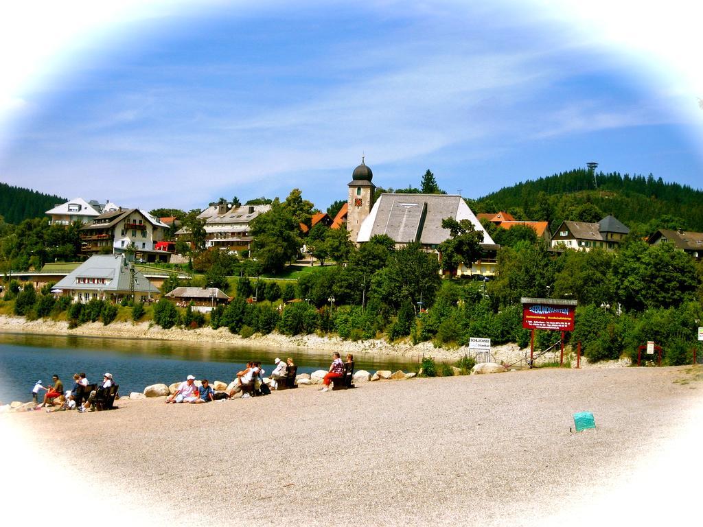 Ferienwohnung Endlich Ferien Waldshut-Tiengen Eksteriør billede